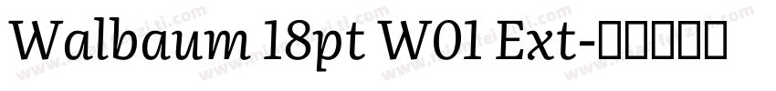 Walbaum 18pt W01 Ext字体转换